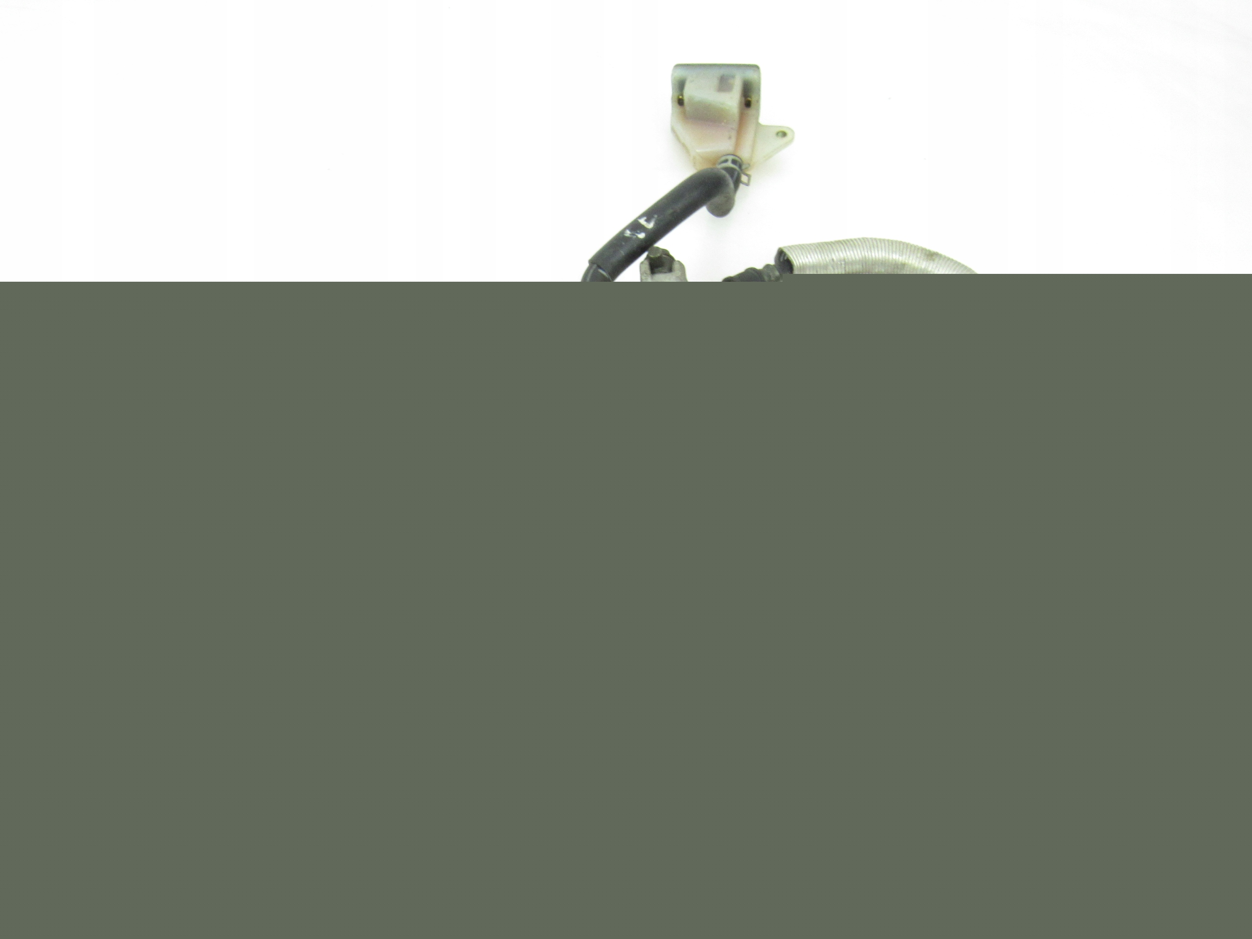 14307328231