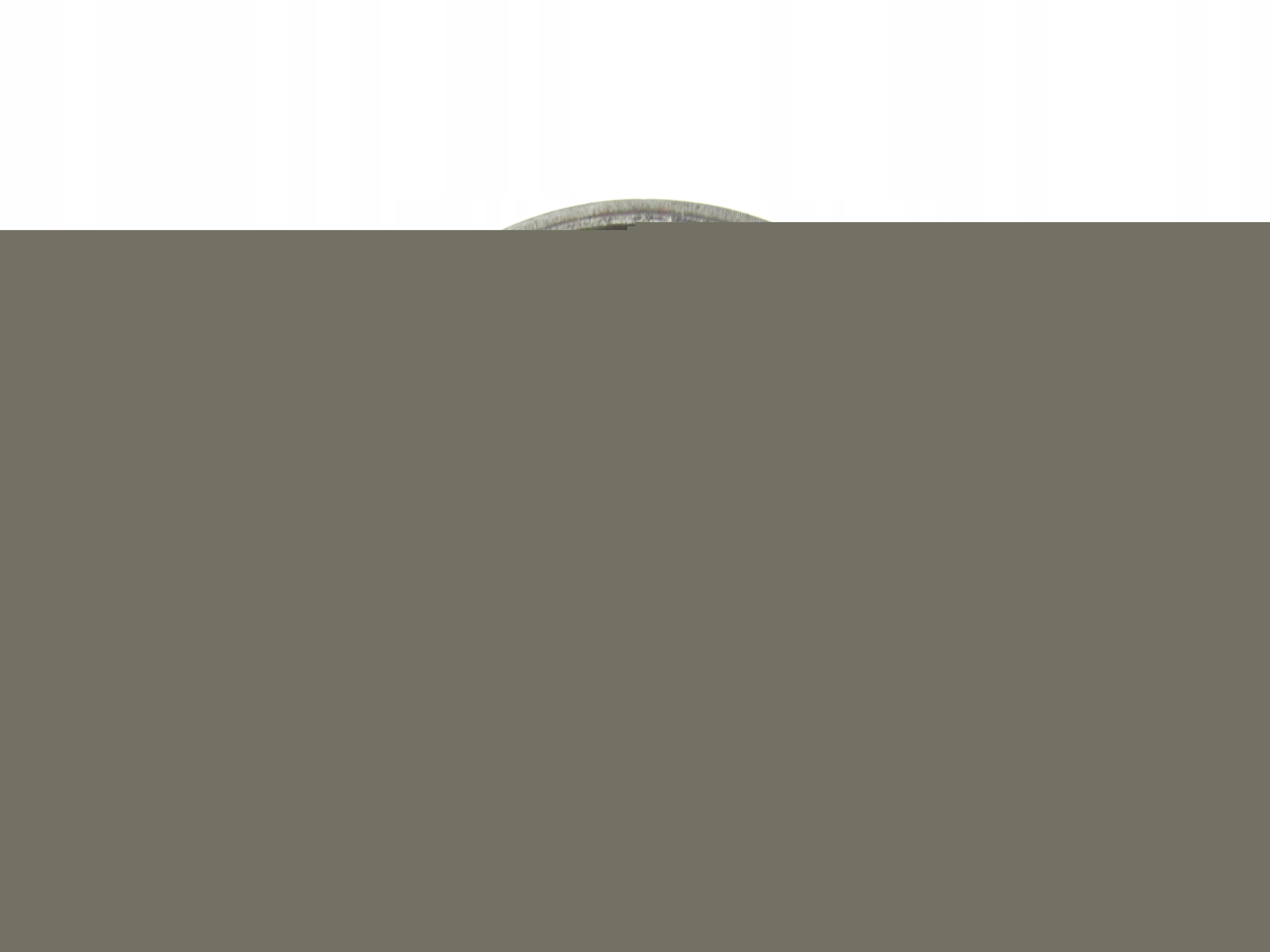 14489839426