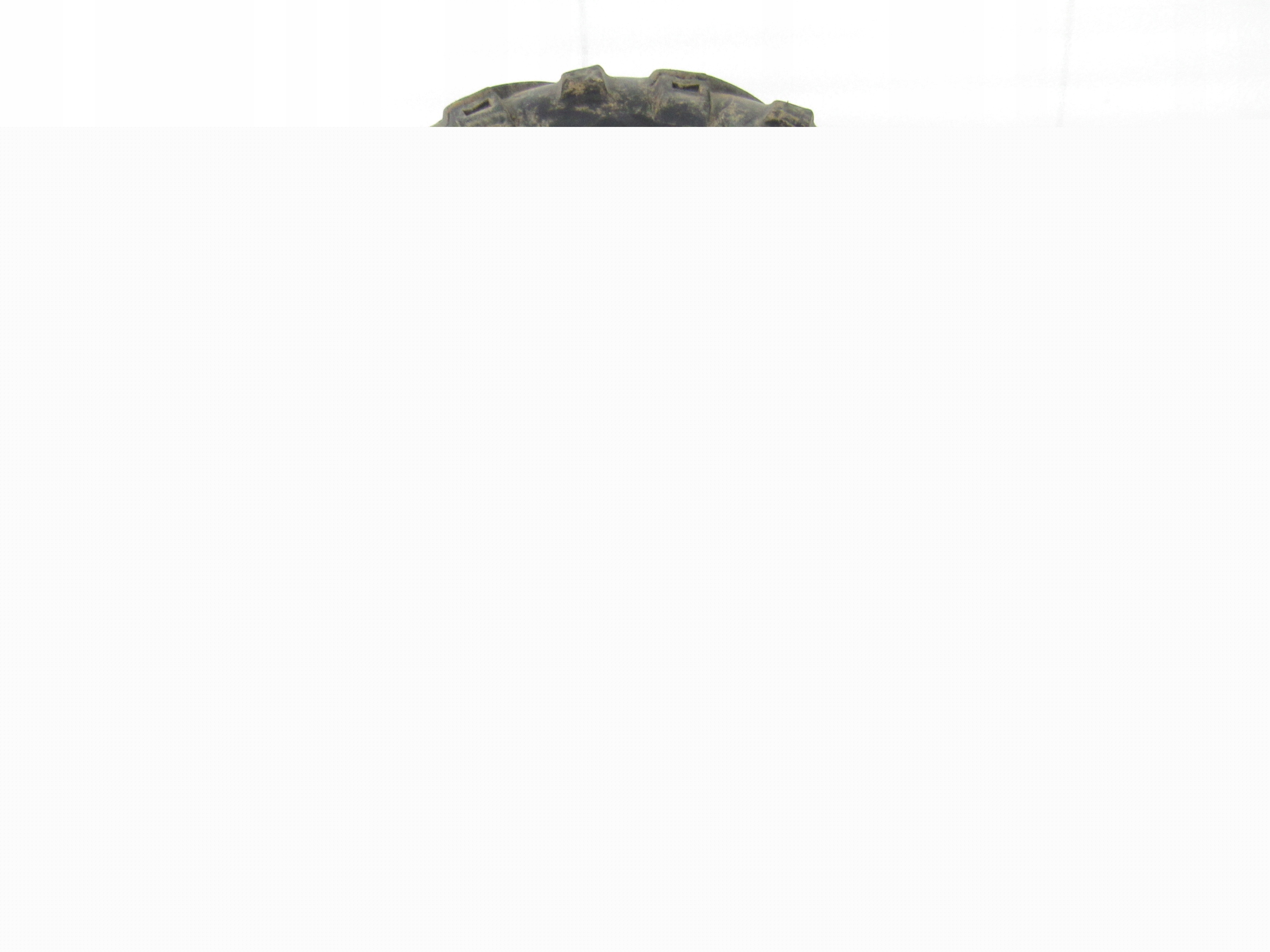 15089582455