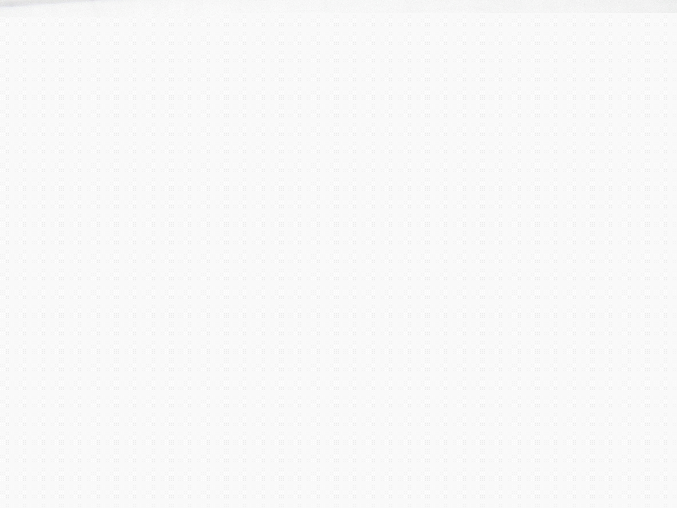 15125294101